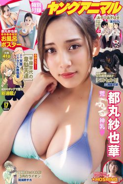 特警飞龙全集